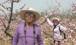 桃花孩子爆料视频,背后惊人真相曝光